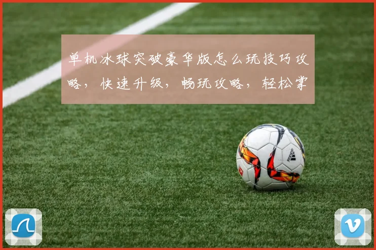 单机冰球突破豪华版怎么玩技巧攻略，快速升级，畅玩攻略，轻松掌握，一网打尽